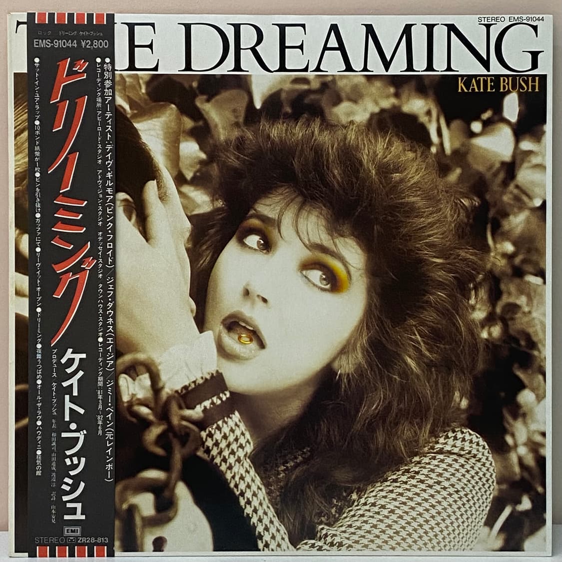 (LP-초민트시리즈) Kate Bush - The Dreaming 상품이미지1