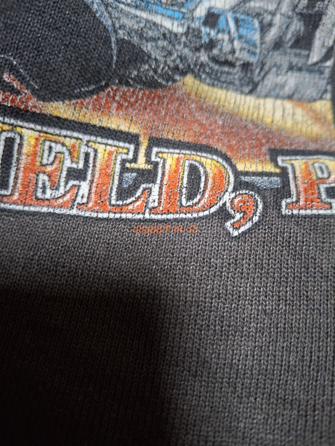 00s 할리데이비슨 후드,스웻셔츠 상품이미지3