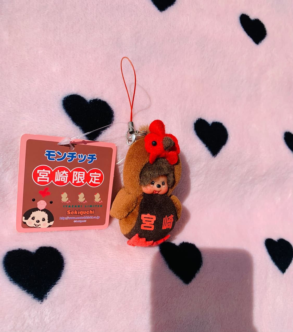 🐔초미니 나고야한정 코친 몬치치 키체인 상품이미지2
