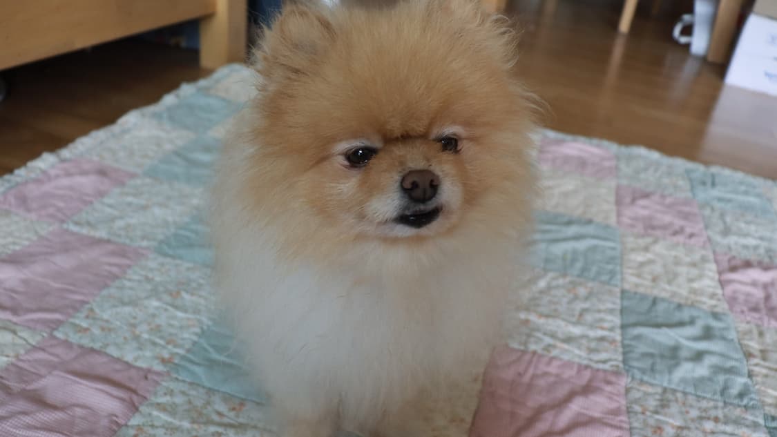 pingm***님 결제창 상품이미지1