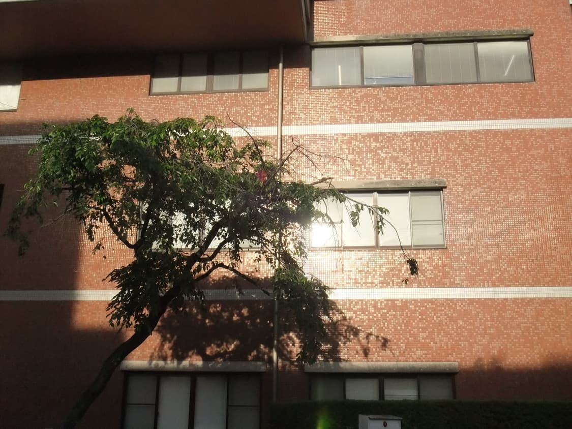 작례o) 후지필름 파인픽스 Z800EXR 상품이미지6