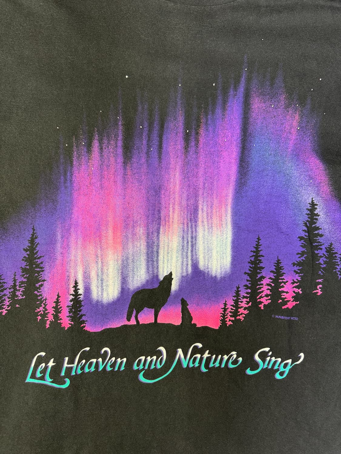 빈티지 90s Let Heaven & Nature Sing 티셔츠 L 상품이미지2
