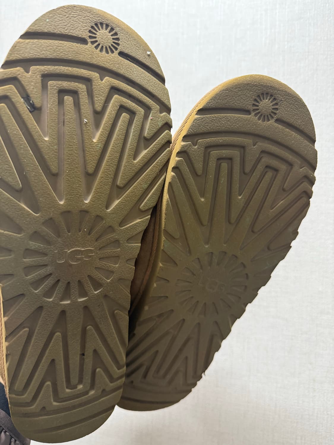 어그 타스만 270 팝니다! 상품이미지4