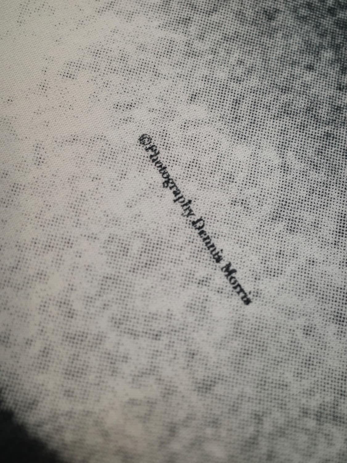 16A/W 라드 뮤지션 시드 비셔스 티셔츠 상품이미지2