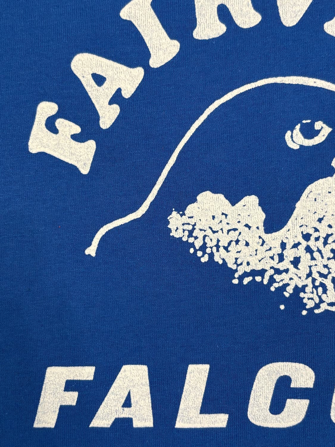 hanes Falcons 티셔츠 상품이미지5