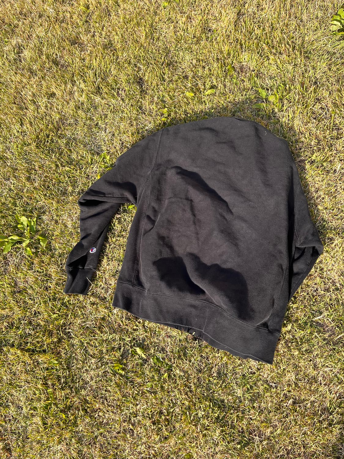 챔피언 스웻 상품이미지2