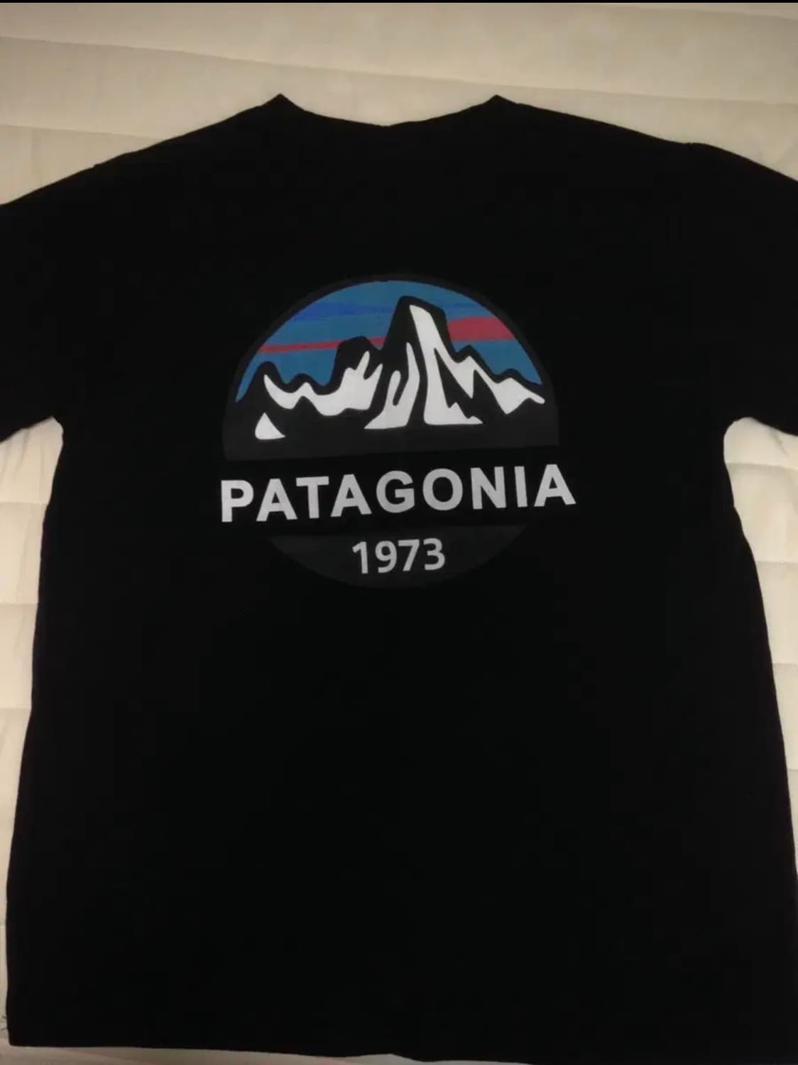 Patagonia 반팔티 L 상품이미지3