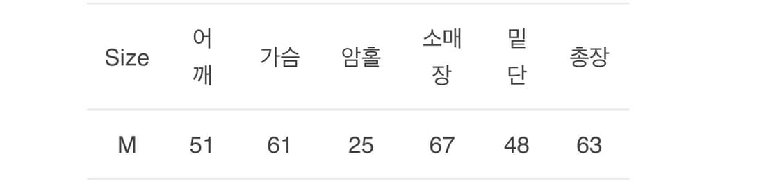 애니타임로릭 ma-1 자켓 상품이미지5