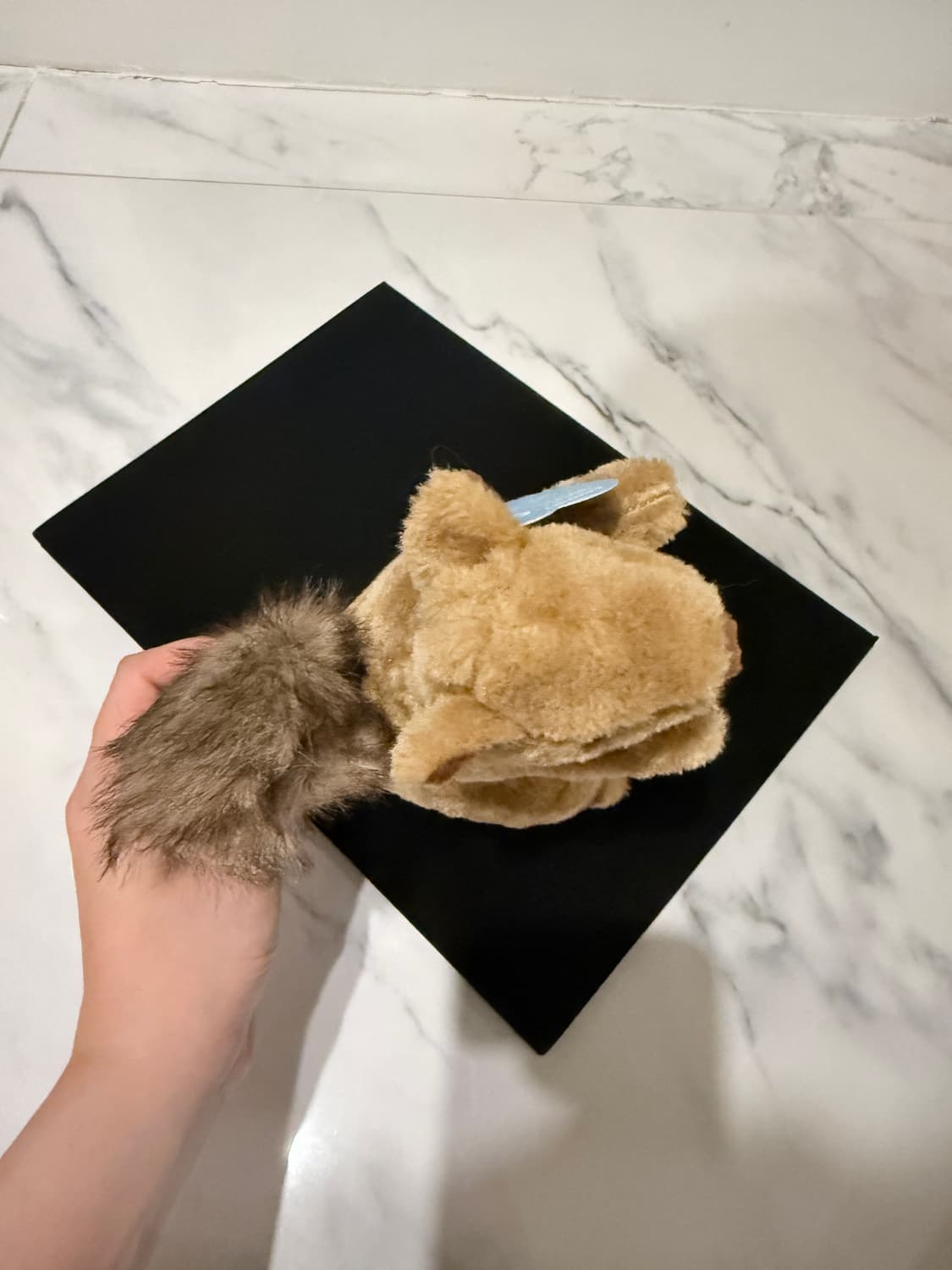 디스커버리 다람쥐 반려견/묘 장난감 인형(삑삑소리남) 상품이미지5