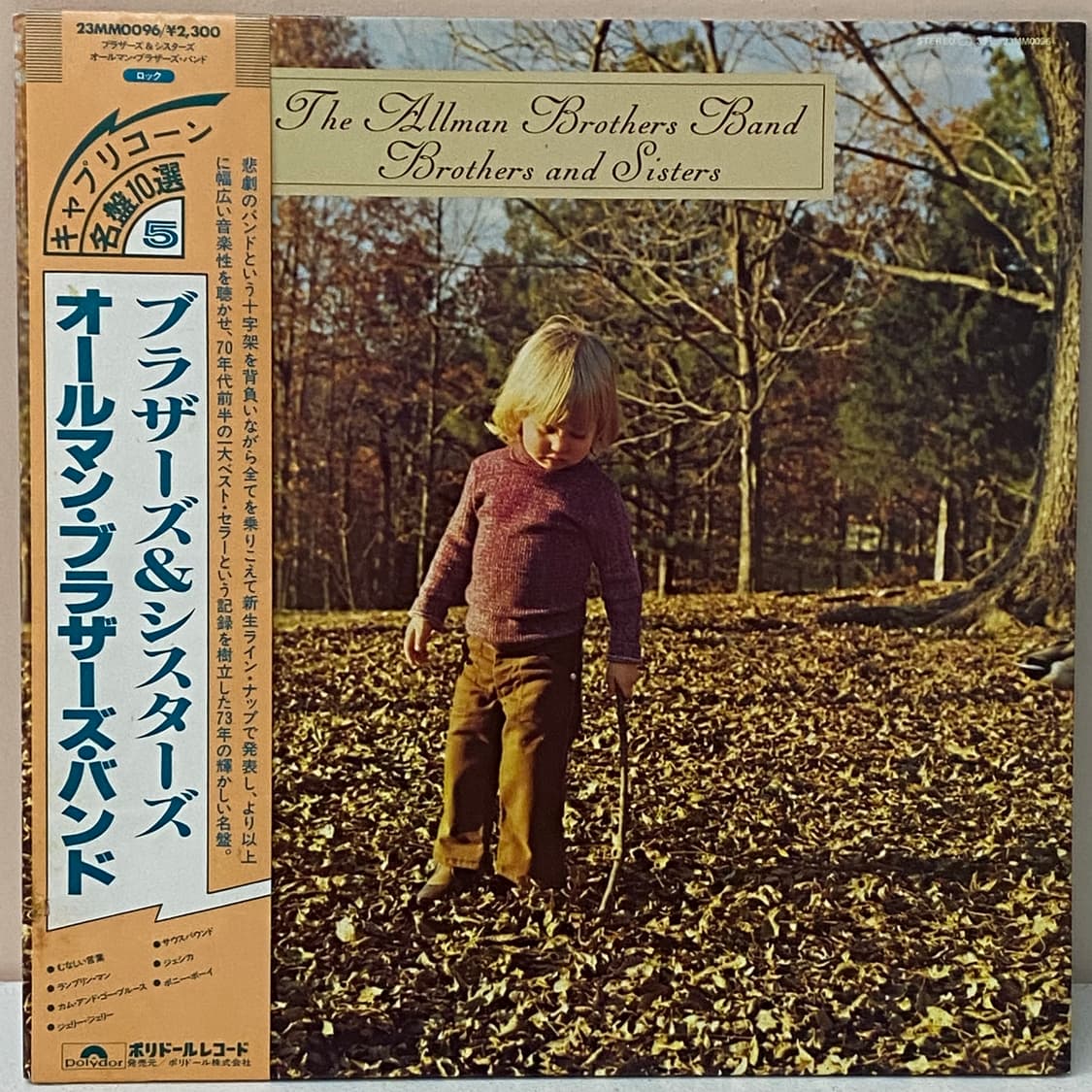 (LP) The Allman Brothers Band - Brothers 상품이미지1