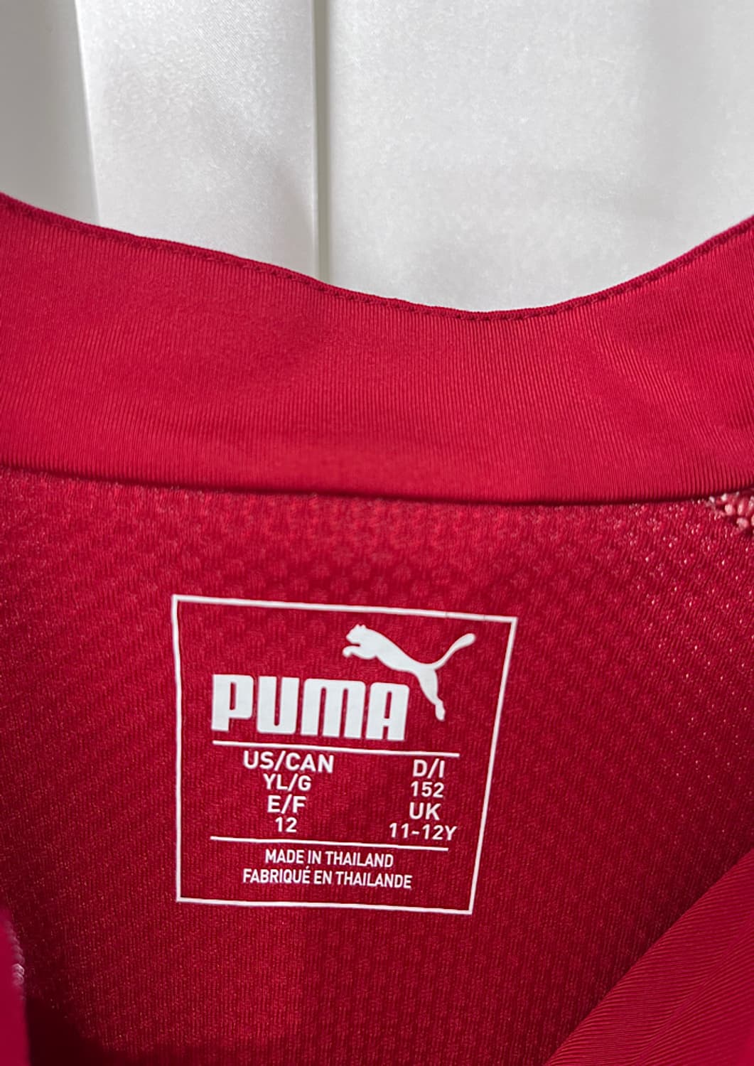 Puma Valencia CF Training Shirt 상품이미지5