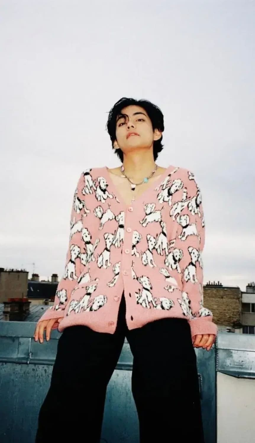 [새상품] 셀린느 22S/S 에이미 도리안 달마시안 강아지 가디건 상품이미지3