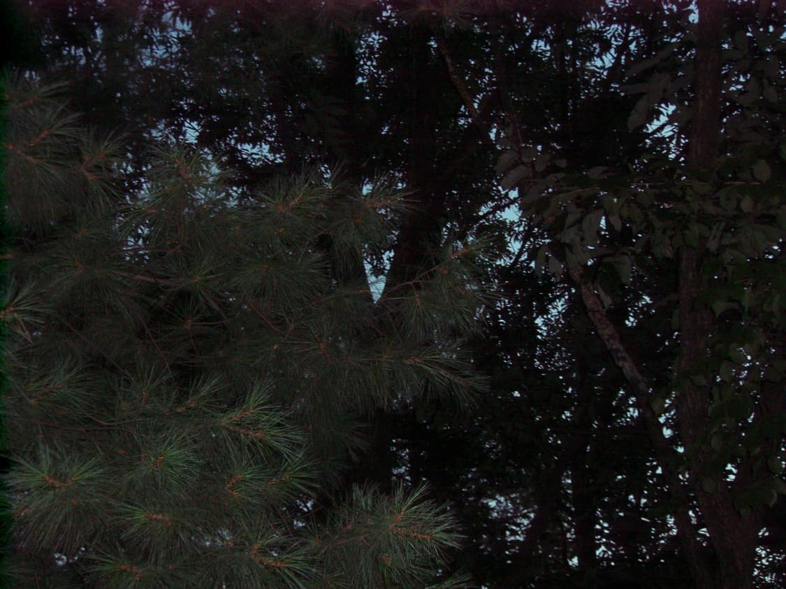 올림푸스 뮤750 (작례o) 상품이미지5