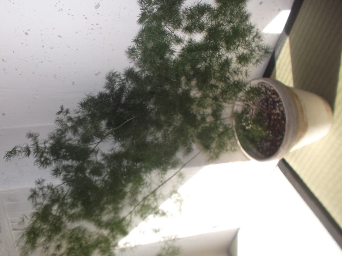 후지필름 finepix JX700 디지털 카메라 판매 상품이미지7