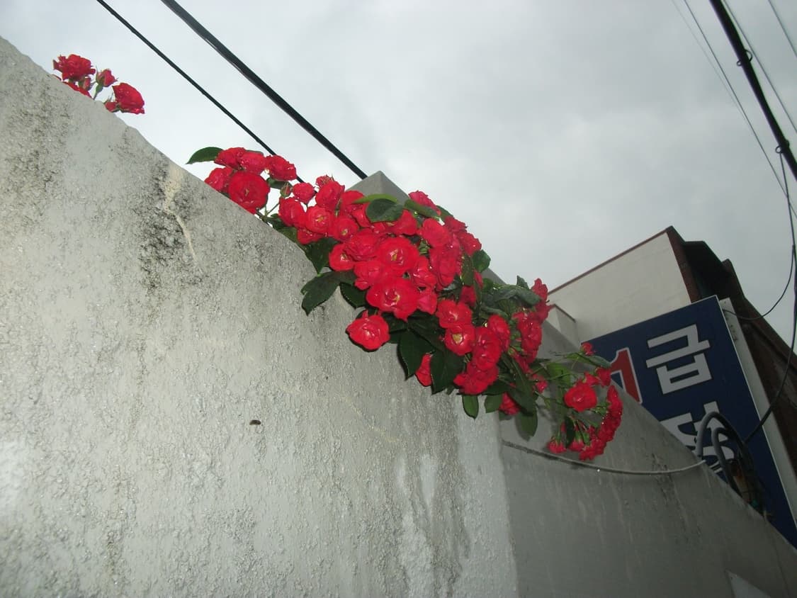 강추/레어/작례O) FujiFilm Finepix A230 디카 상품이미지9
