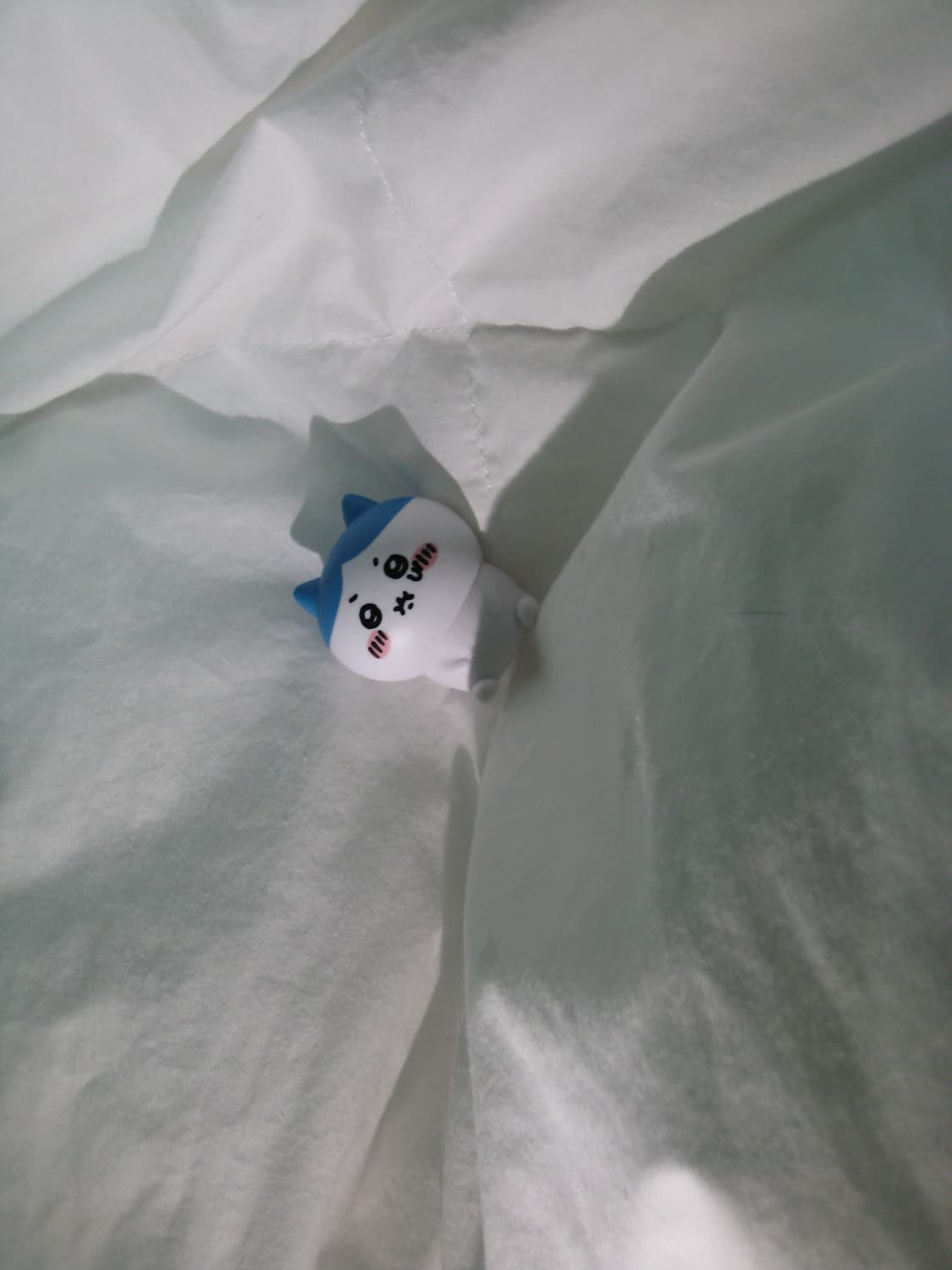 (아이돌 디카!) Ixy 10(=ixus 70)  상품이미지7