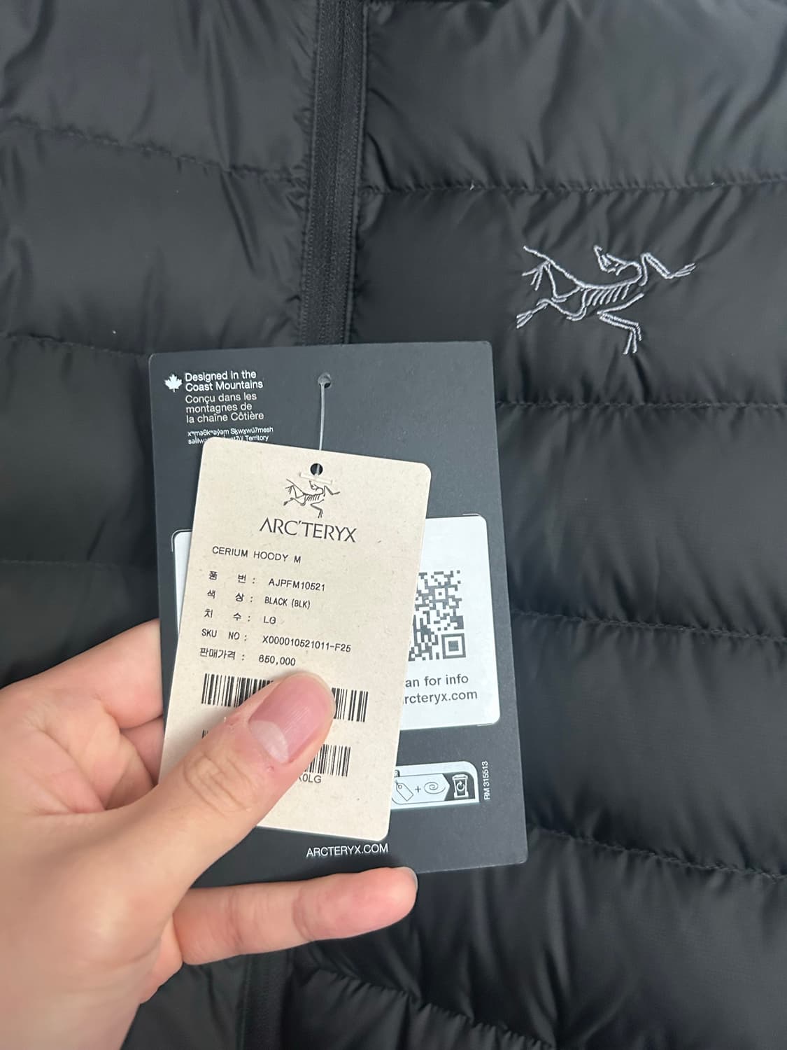 국내판) 아크테릭스 세륨 후디 블랙 L 25FW 상품이미지2