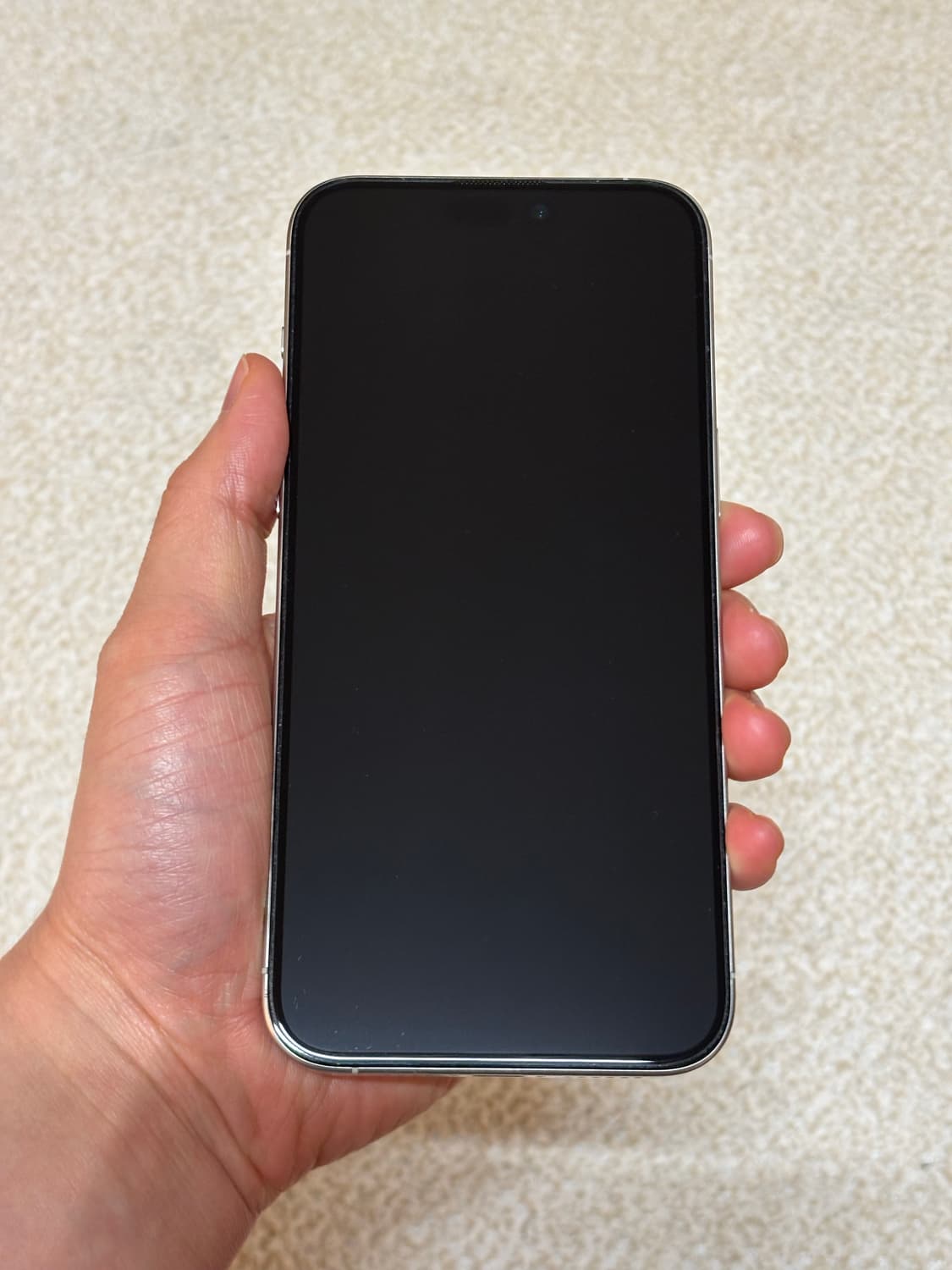 아이폰 15 프로 맥스 화이트티타늄 512기가 상품이미지2