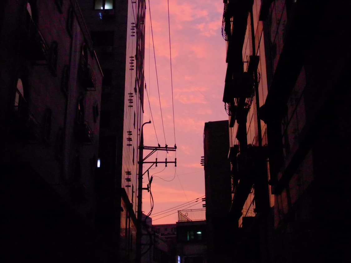 [작례 O] 후지필름 Fujifilm finepix f70exr 상품이미지8