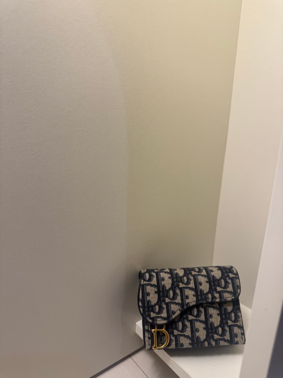 디올 오블리크 새들 지갑 상품이미지2