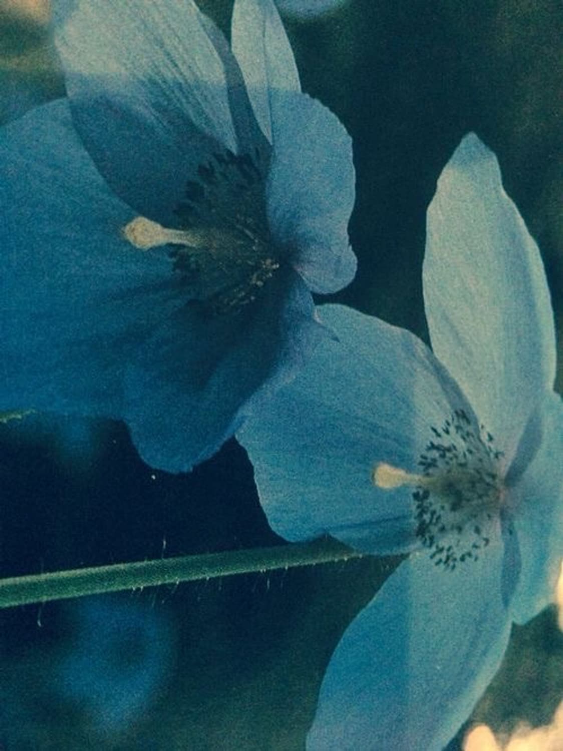 개인결제창 상품이미지1