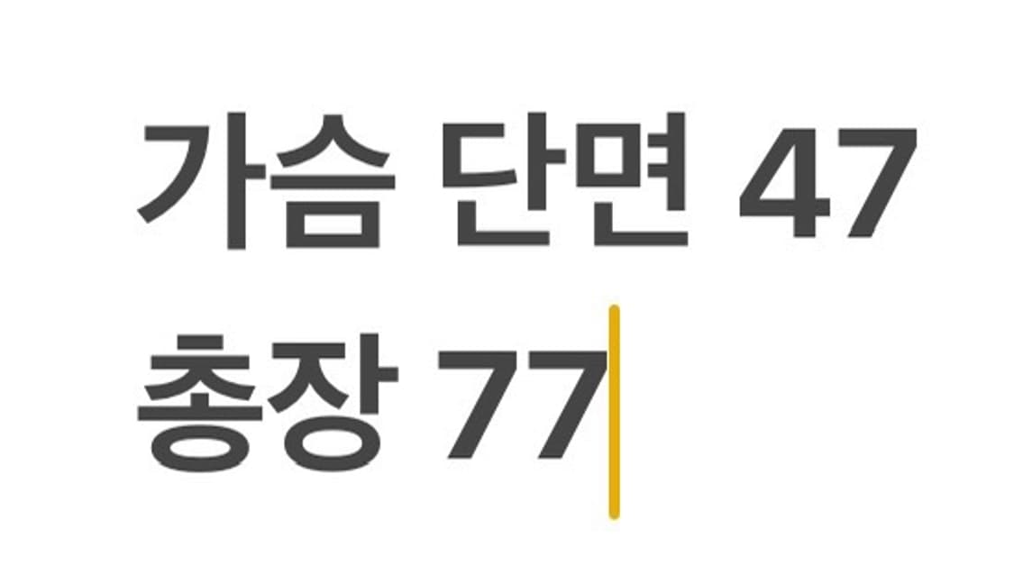 [정품/M] 압도 빅로고 나시 블랙 b17 상품이미지6