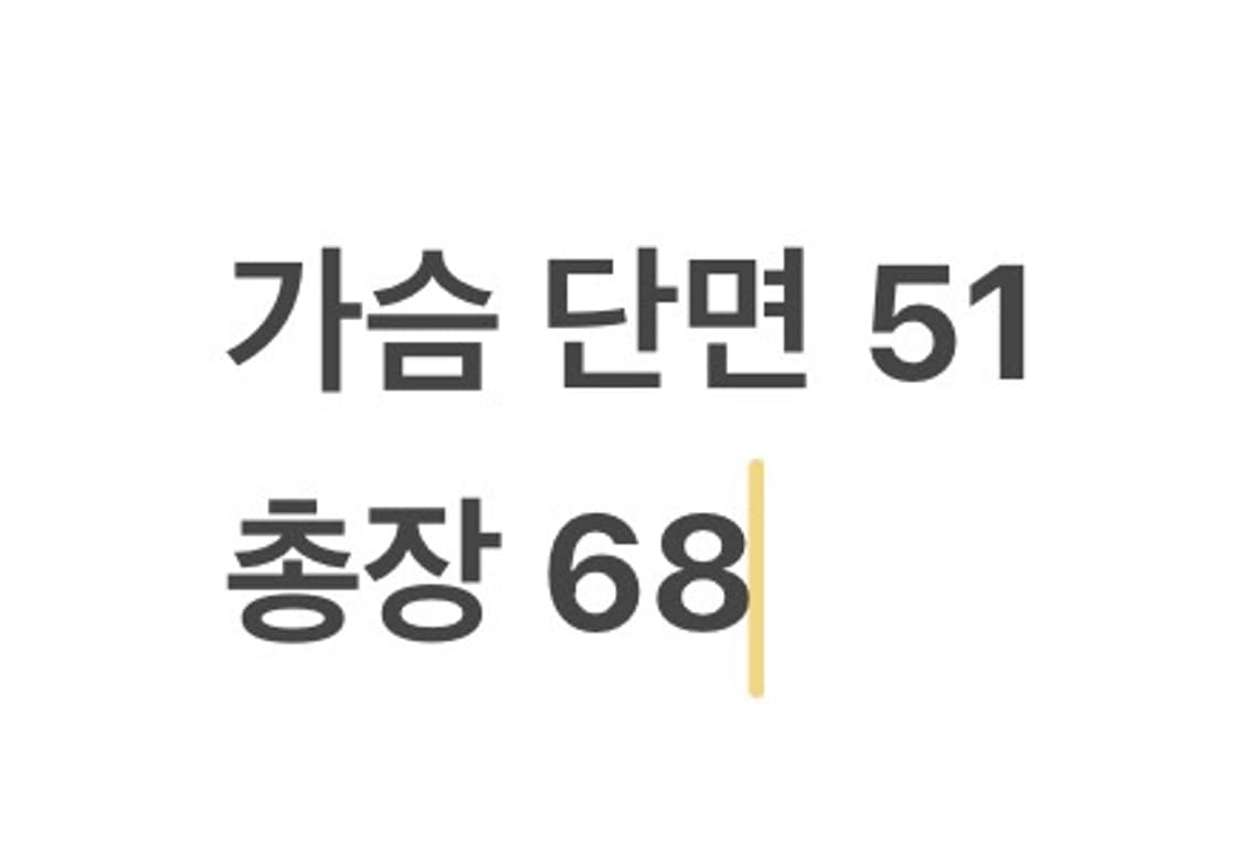 [ 정품/L ] 세인트제임스 스트라이프 롱슬리브 b15 상품이미지7