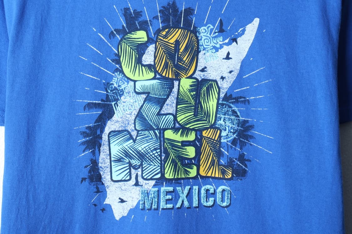 (XL-3XL) 길단 반팔 티셔츠 USA 빅사이즈 하와이안-H30176 상품이미지5