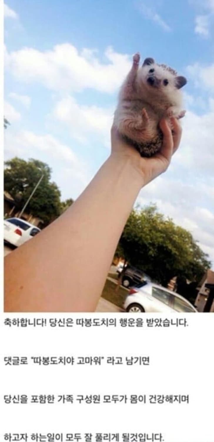 heyxxxxxxxxxx님 슈프림 결제창 상품이미지2