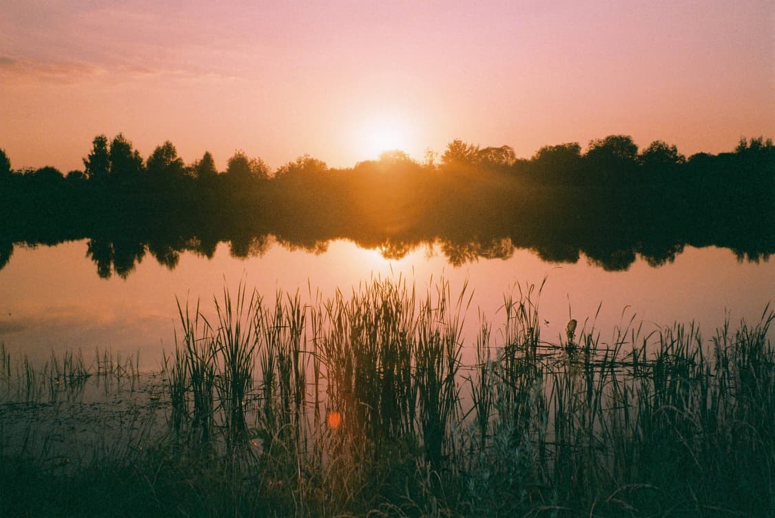 작례O 극희소 최상위 트림 명품 올림푸스 lt zoom 105 필름카메라 상품이미지6