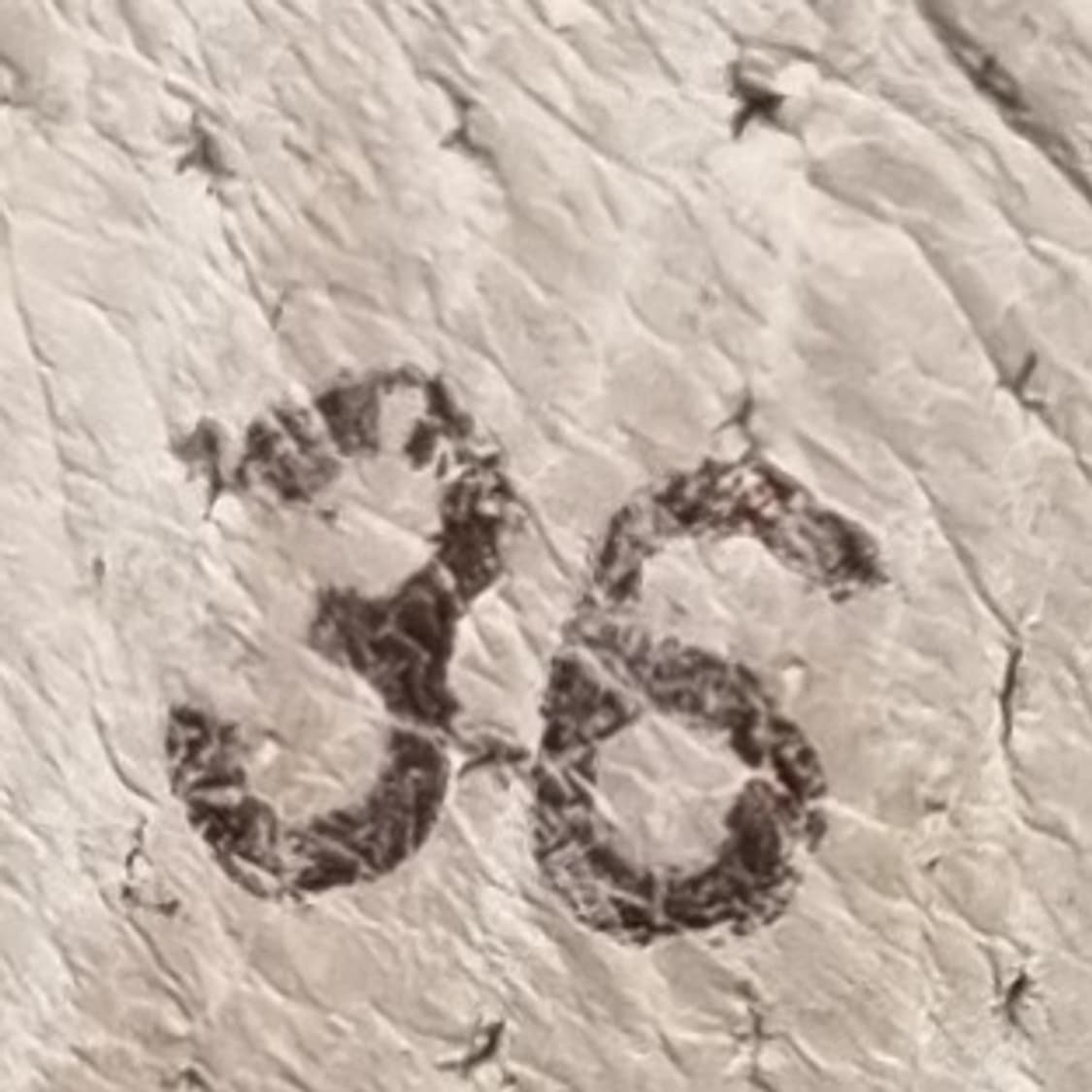 몽클레어 레더 여성스니커즈36 230 상품이미지6