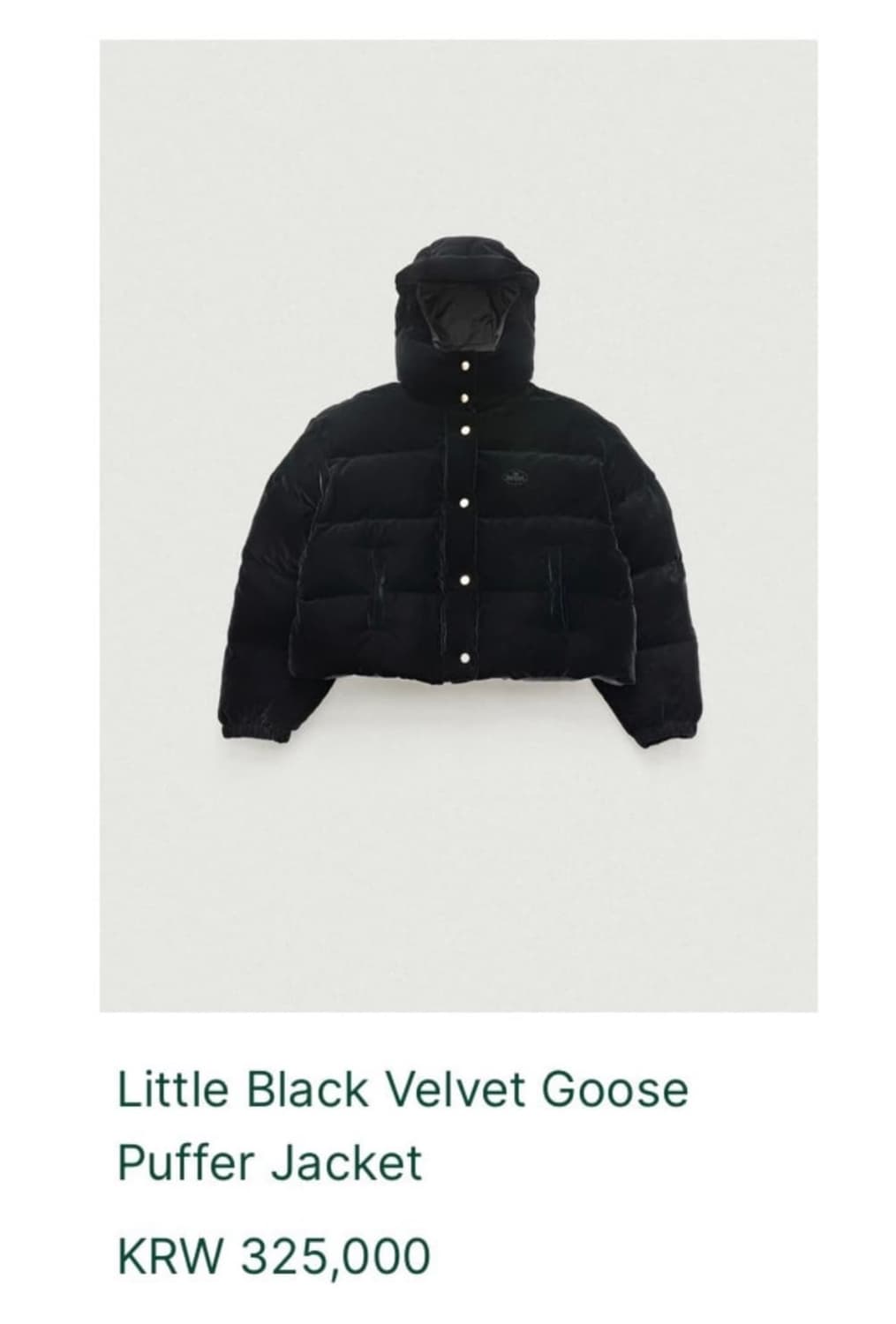 더바넷 벨벳 패딩 상품이미지1