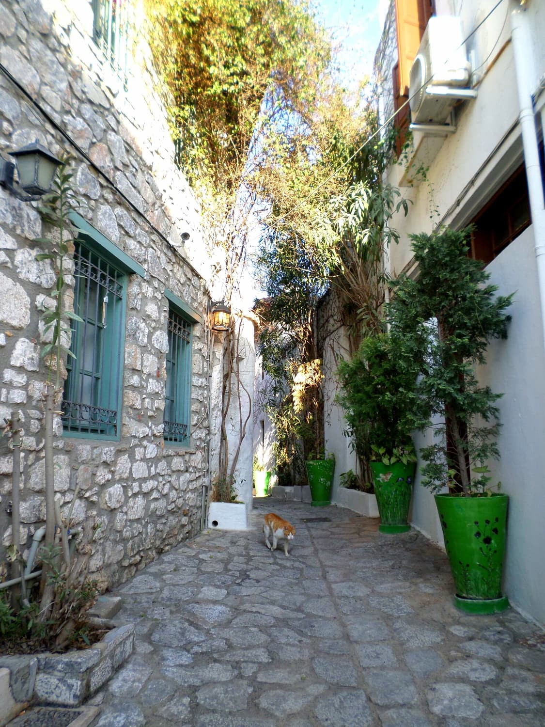 Samsung VLUU DV150F 삼성 한효주디카 빈티지디카 상품이미지9