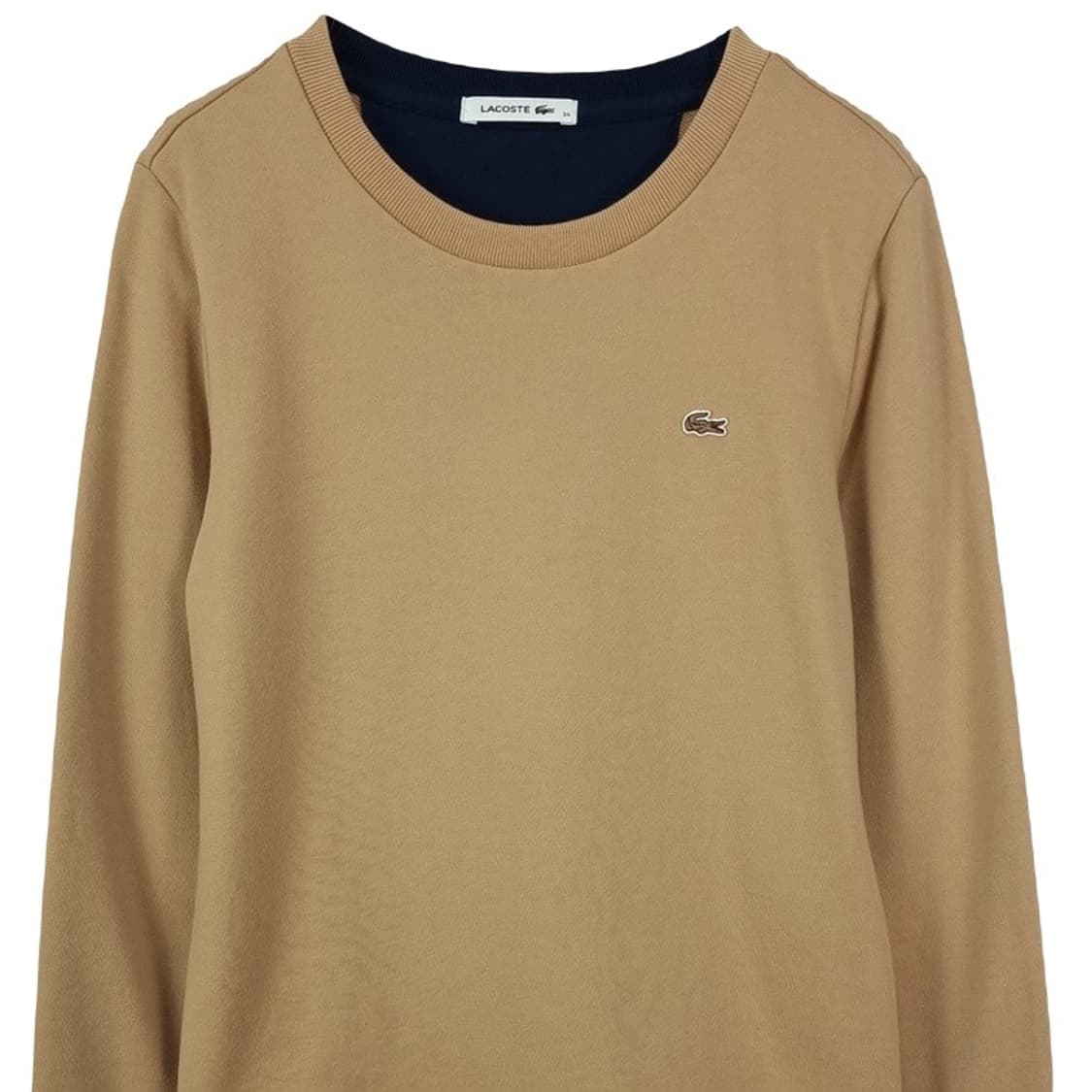 [라코스테] 로고 패치 맨투맨 베이지 M18814 상품이미지4