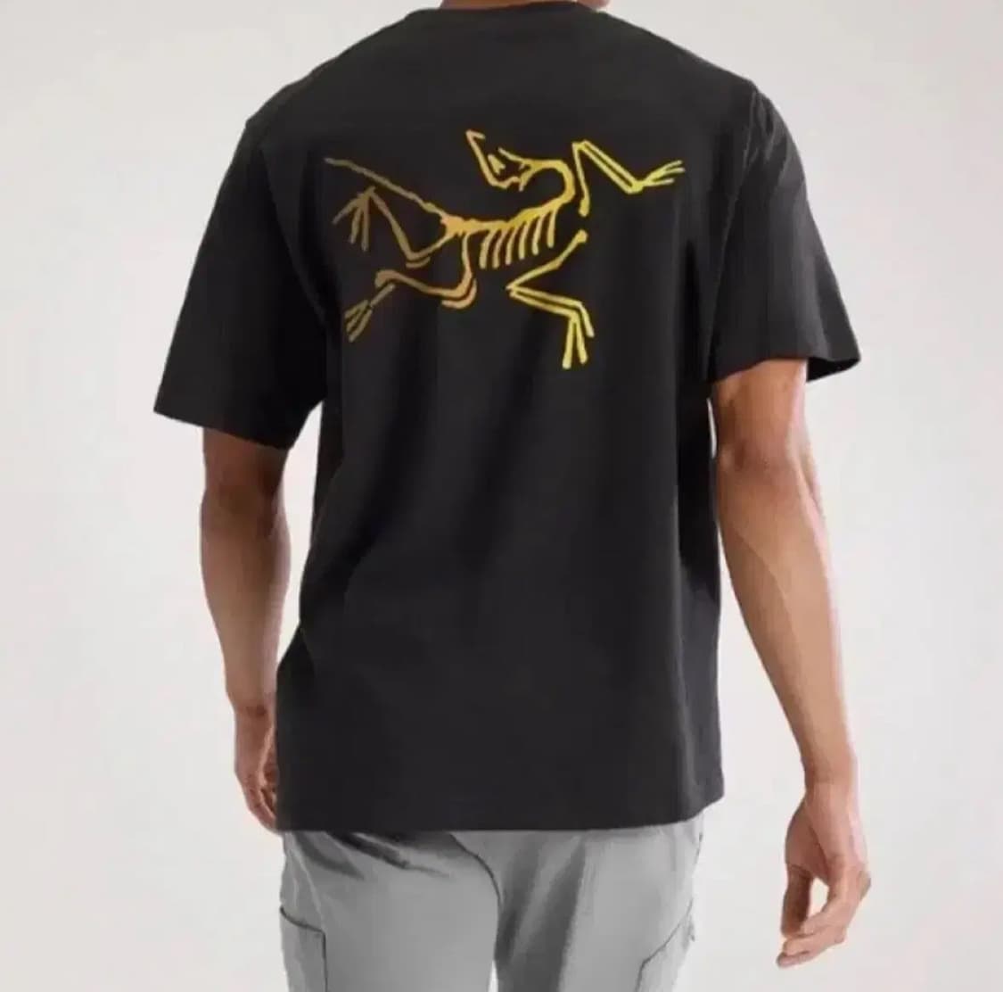 [새상품/정품] 아크테릭스 빅로고 반팔티 (블랙 / L) 상품이미지2