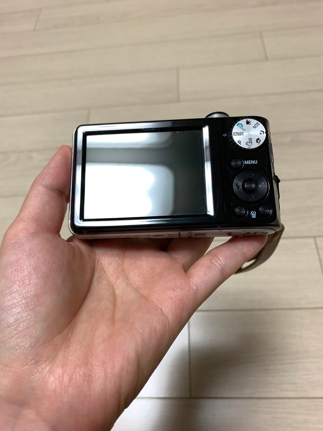 삼성 vluu pl 100 디카  상품이미지3