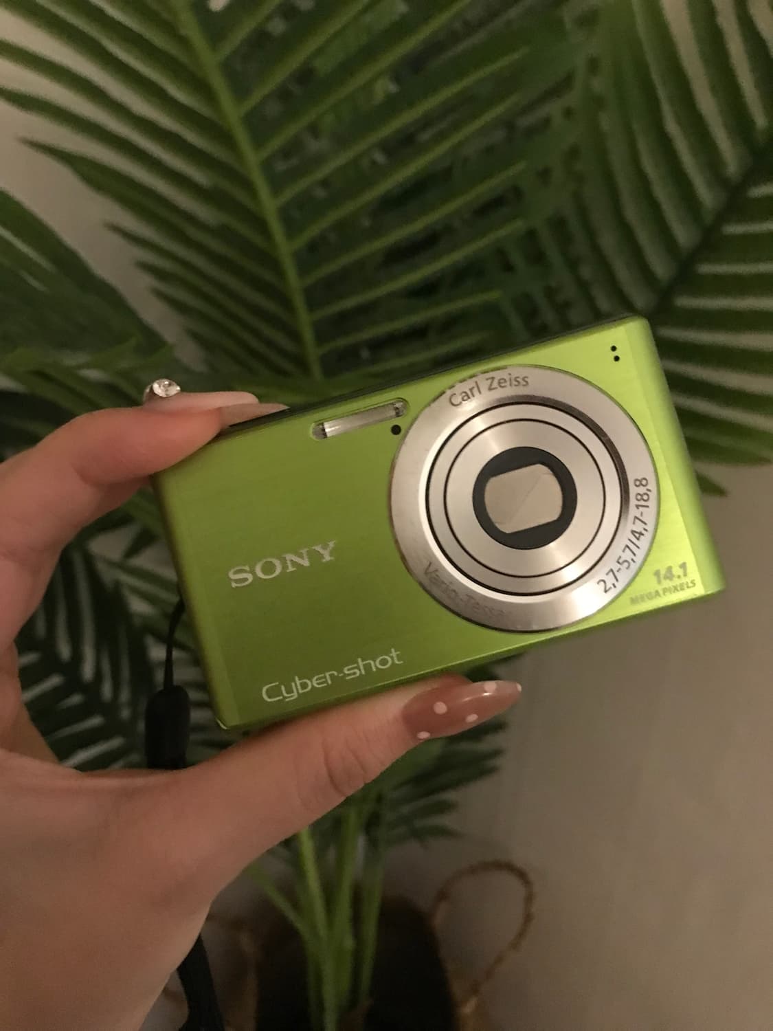 소니 사이버샷 DSC-W530  상품이미지1