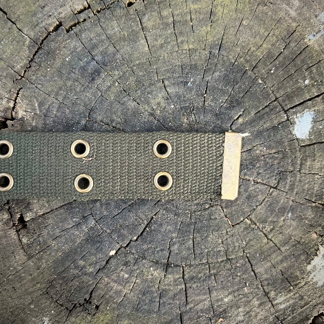 더블핀 롤러 버클 웹 벨트 상품이미지4