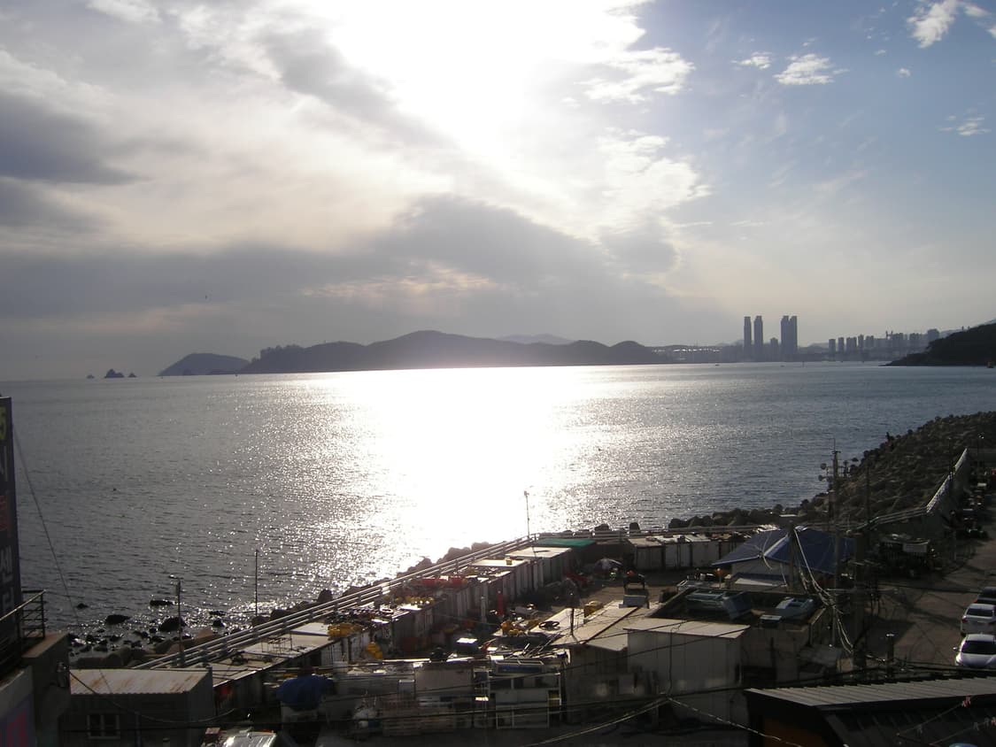 Kodak EasyShare LS755 디카 상품이미지2