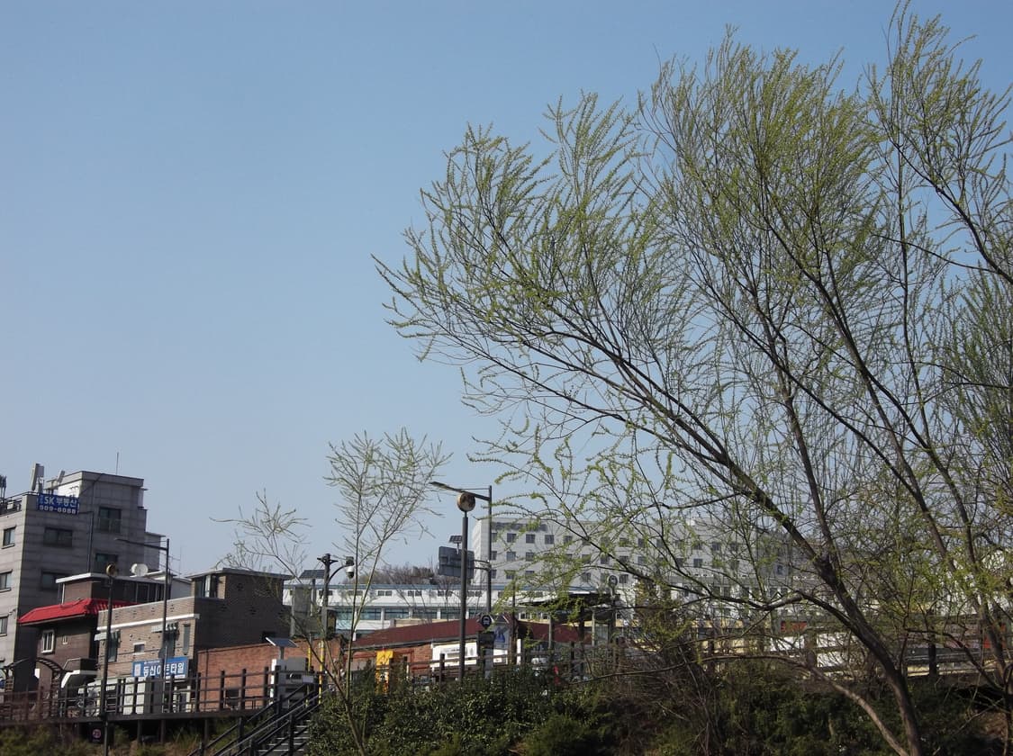 후지필름 파인픽스 AV250 작례 상품이미지4