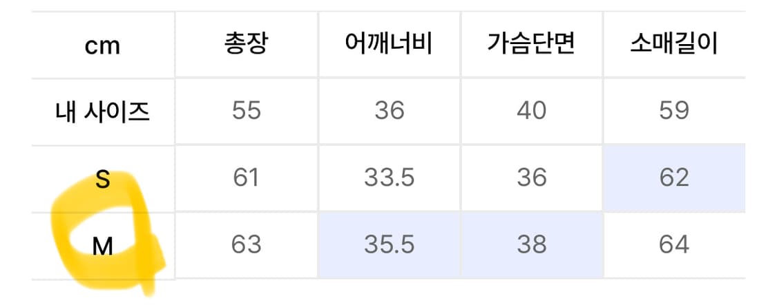 스컬프터 Masterpiece Sheer Top L.Beige 상품이미지4