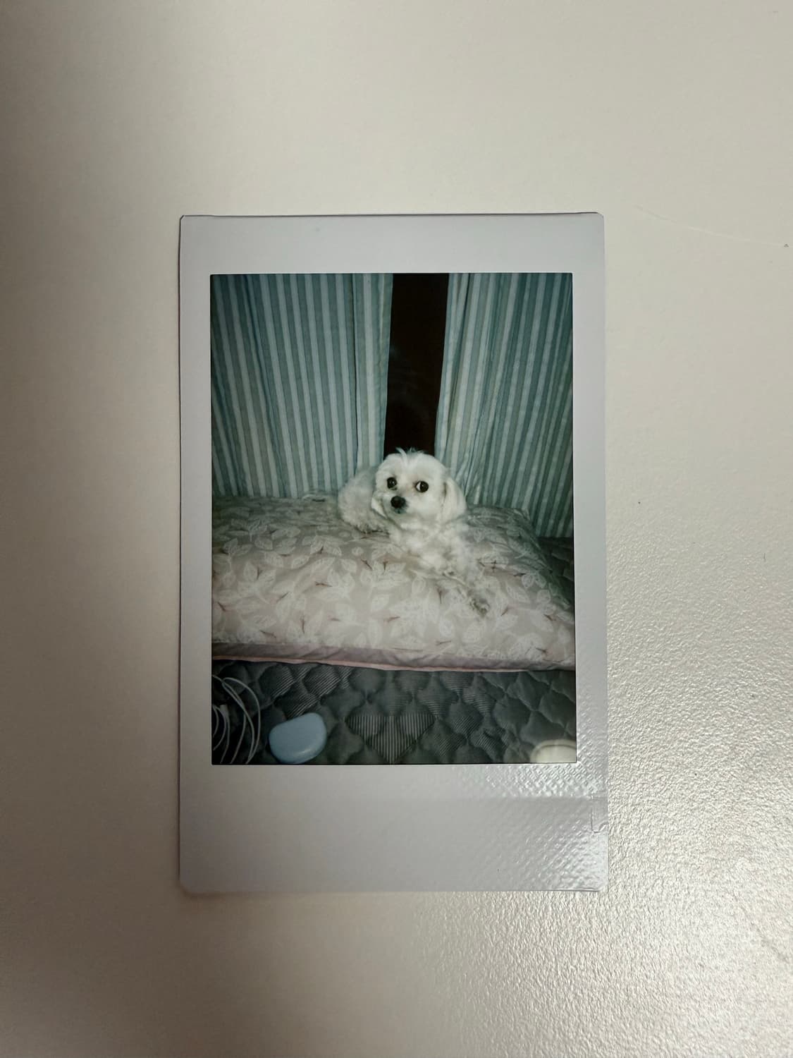 인스탁스 미니 90 + 파우치 + 충전기 + 스트랩 + 필름 13장 상품이미지8