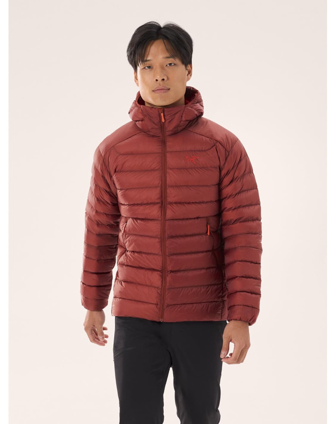 아크테릭스 세륨 L [색상:세콰이아 솔라리스] 상품이미지3