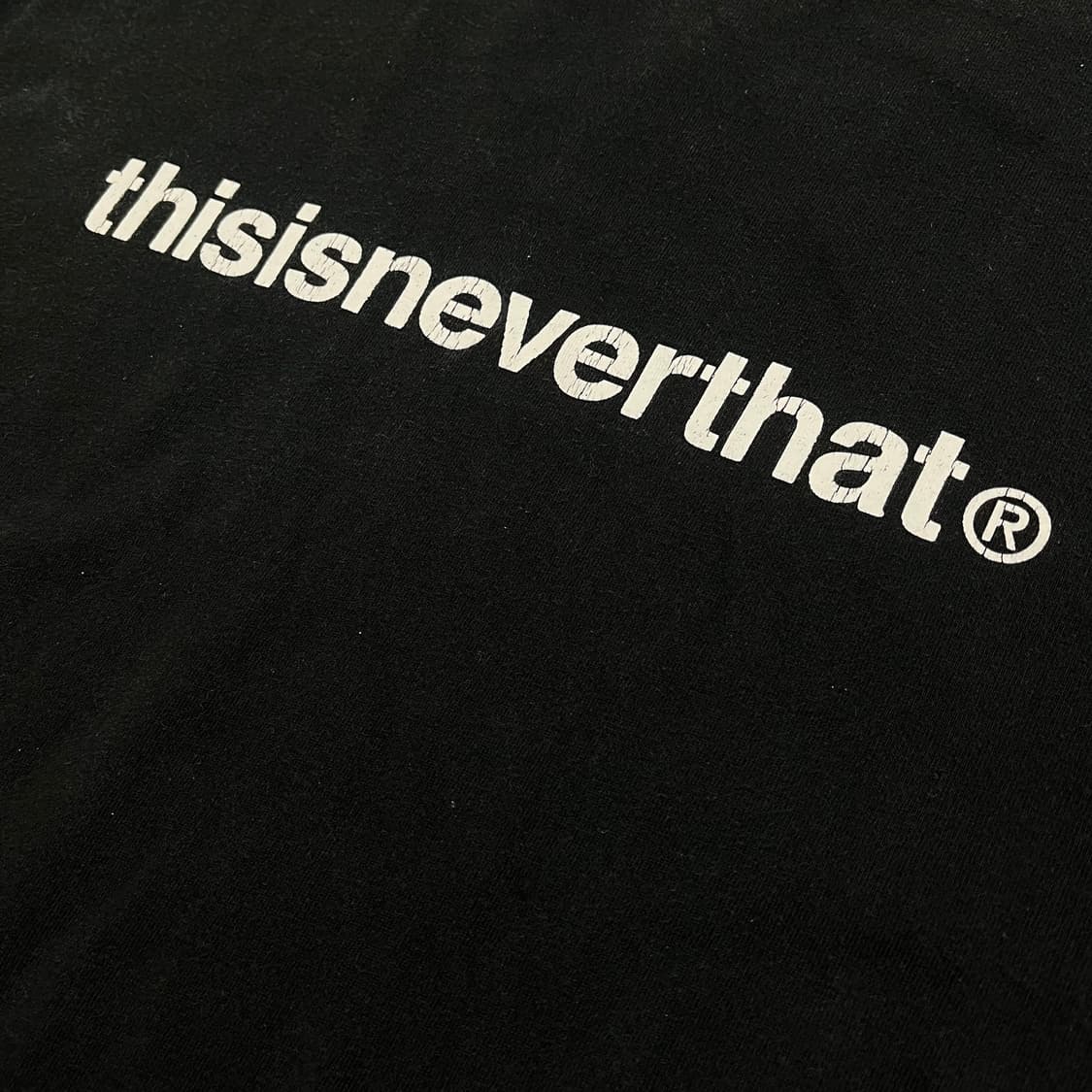 디스이즈네버댓 빅로고 반팔티 M/95 상품이미지5