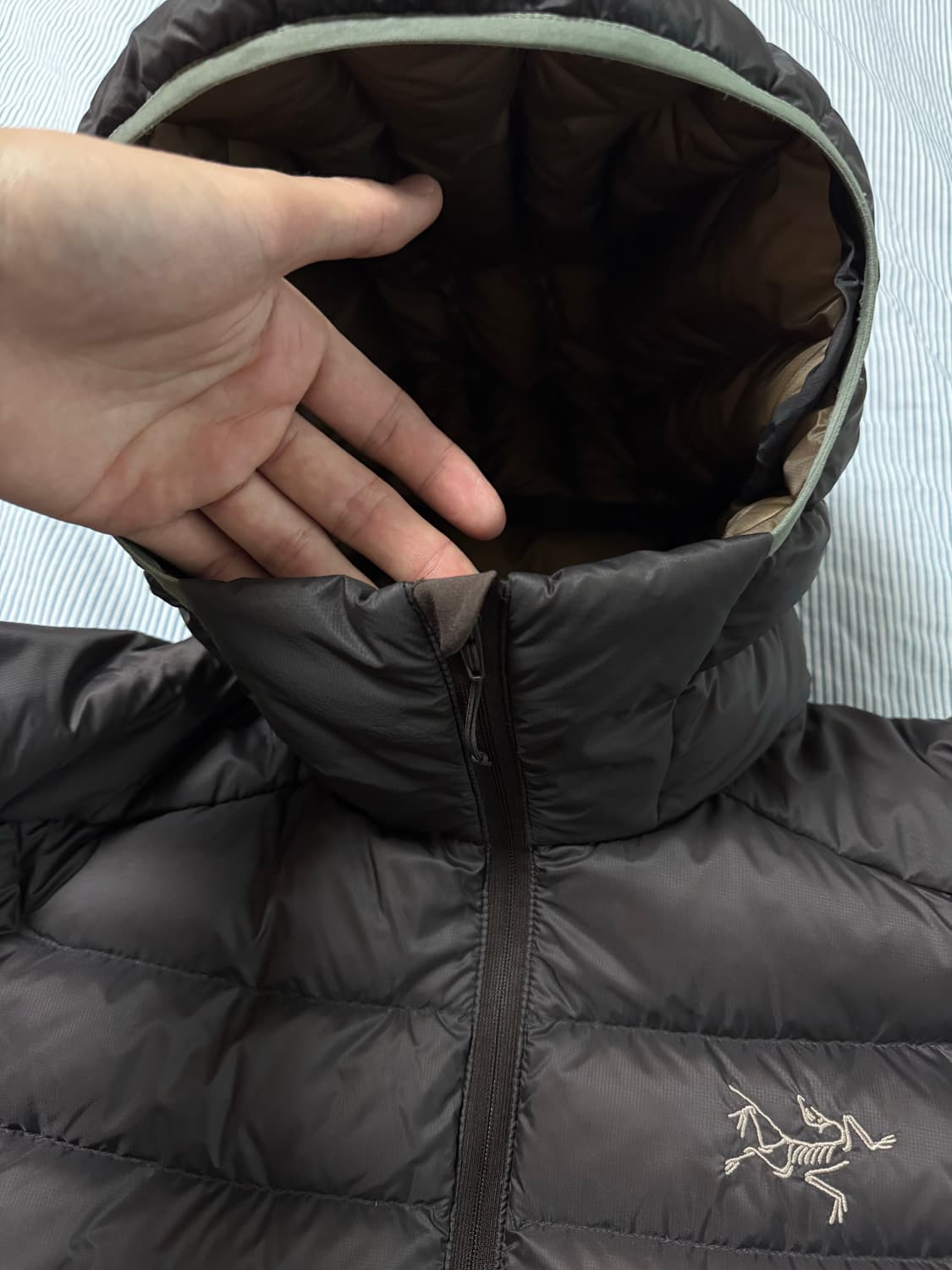 아크테릭스 세륨 후디 비터스 상품이미지7