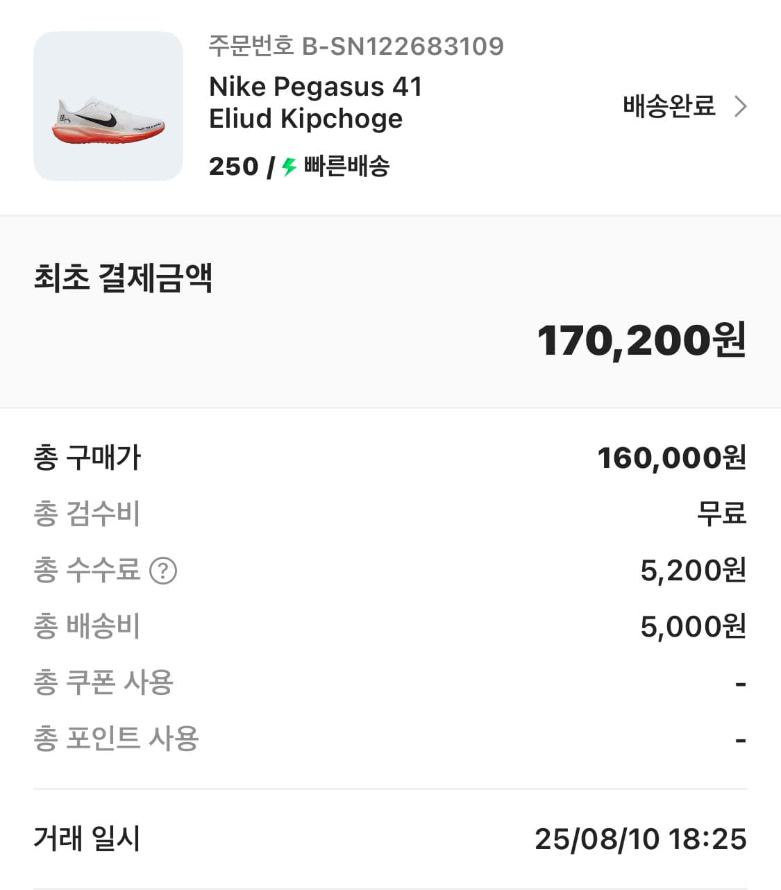 나이키 페가수스 엘리우드 킵초게 250 상품이미지2