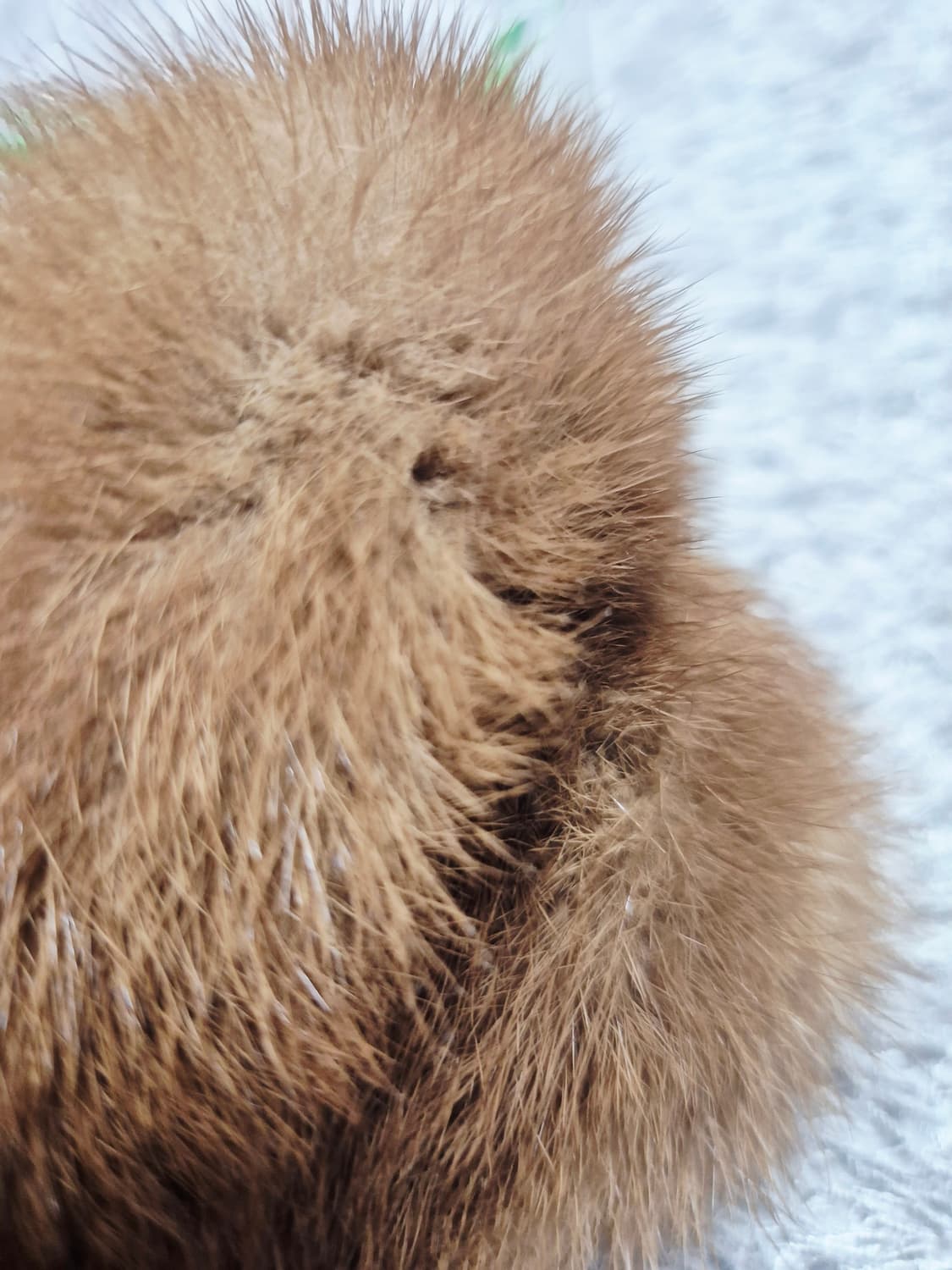 천연밍크목도리 상품이미지4