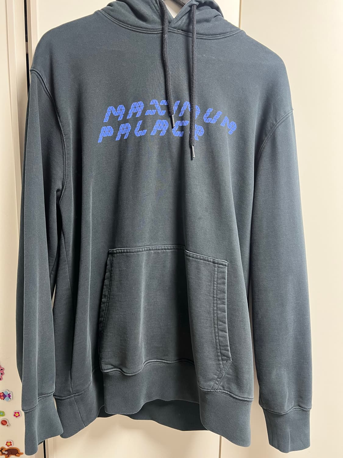 팔라스 맥시멈 트라이 퍼그 후드 판매 합니다 상품이미지1