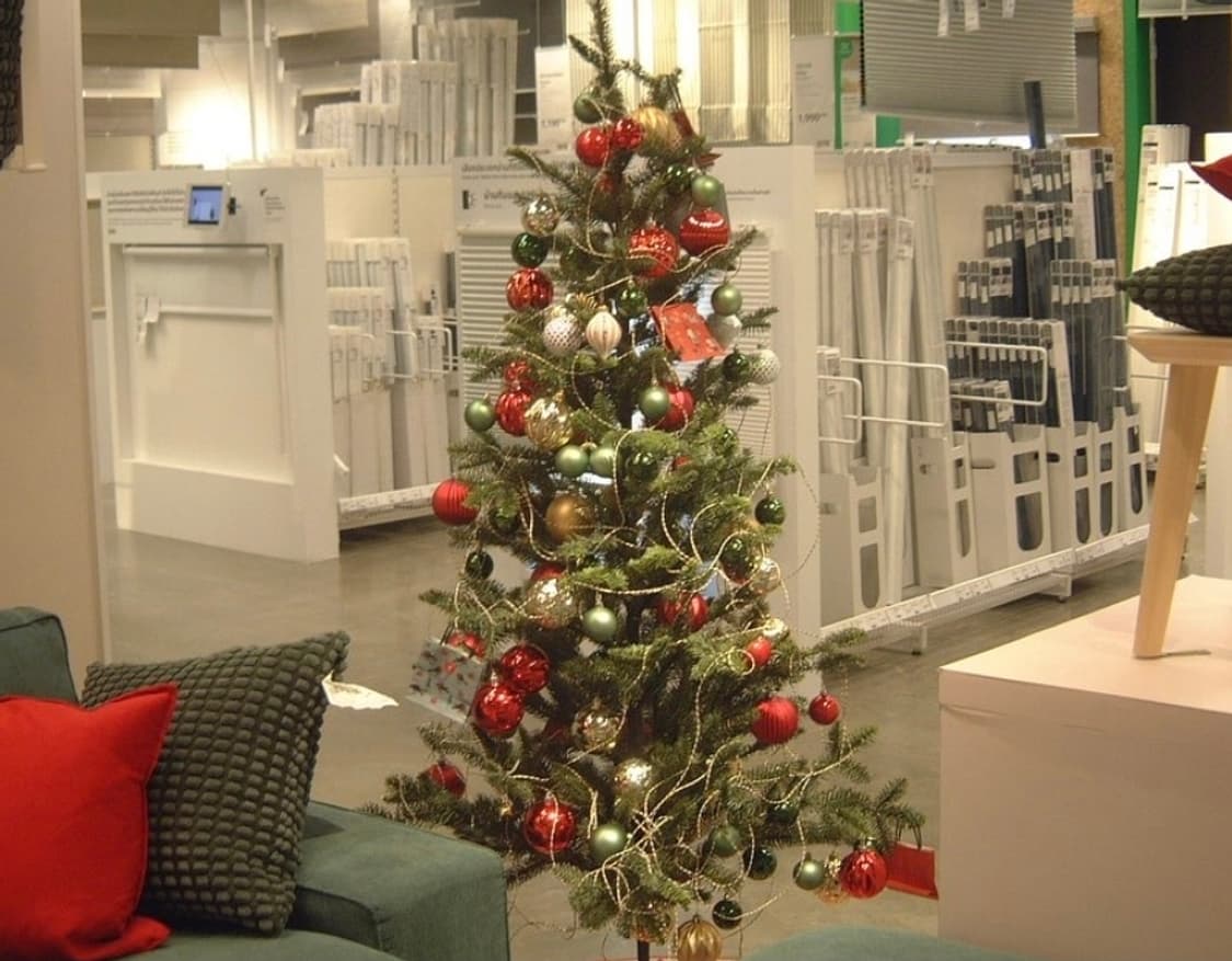 🌿클래식디카 📸 Canon PowerShot A20 💫 상품이미지3