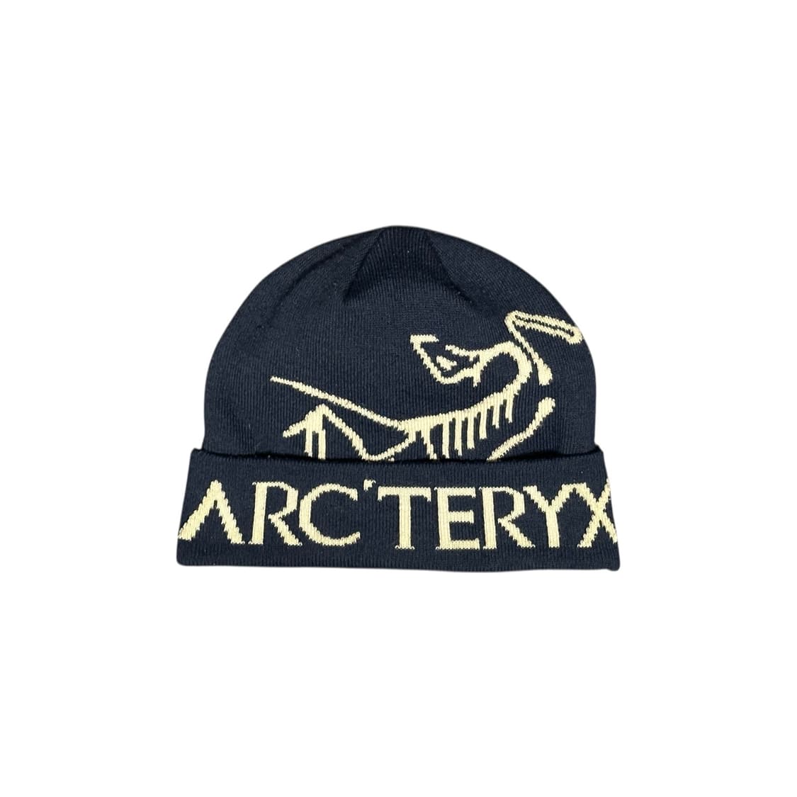 아크테릭스 버드 워드 토크 비니 블랙 사파이어 상품이미지1